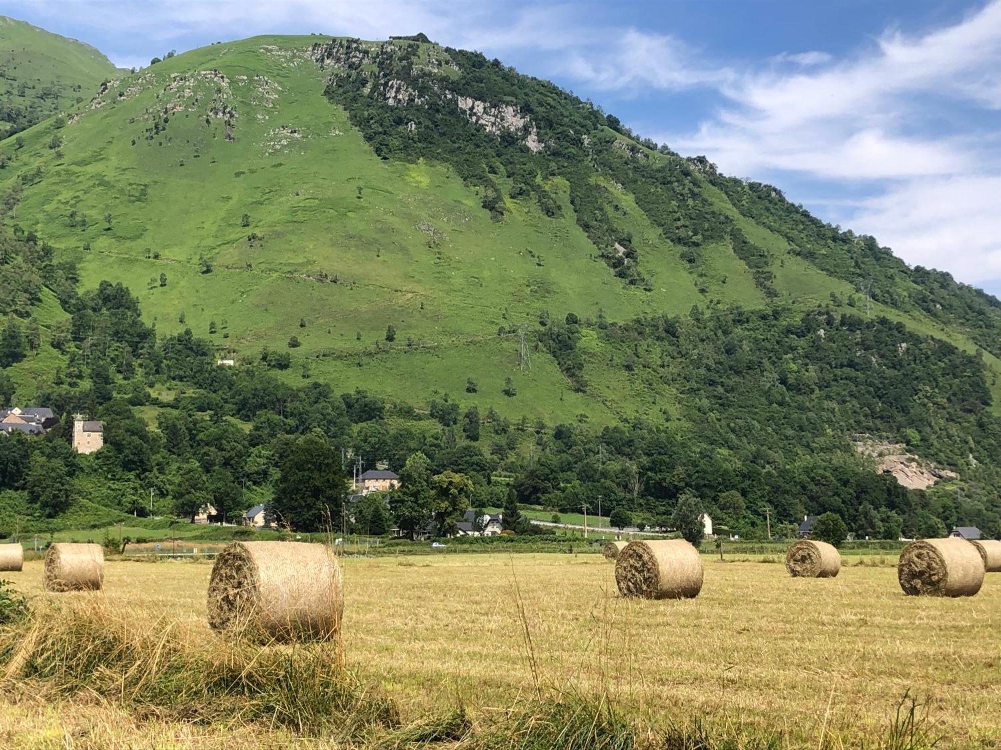 Chalet Colchiques Gere-Belesten